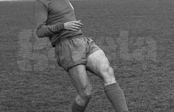 O floare în onoarea lui Ion Oblemenco » CS Universitatea organizează o cupă dedicată ”Tunarului”