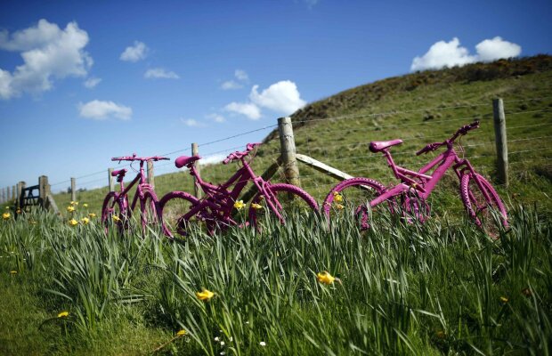 Trifoiul şi oaia roz » Start în cea de-a 97-a ediţie a Turului Italiei: cursa începe de la Belfast