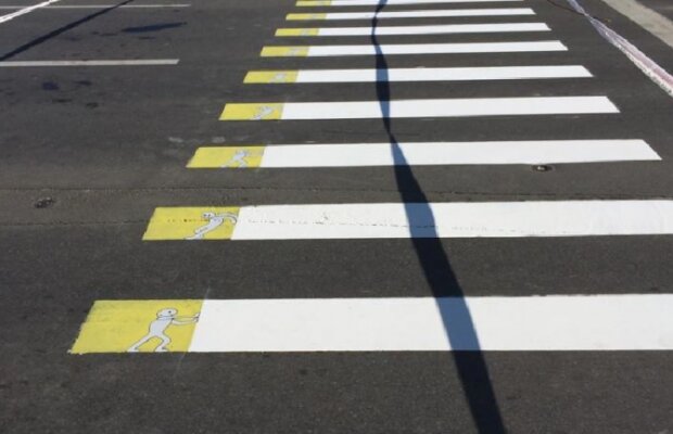 FOTO Ca la olteni, la nimeni: ”zebre” cu mesaje funny la Craiova! Urmează tramvaiele Craiova Maxima