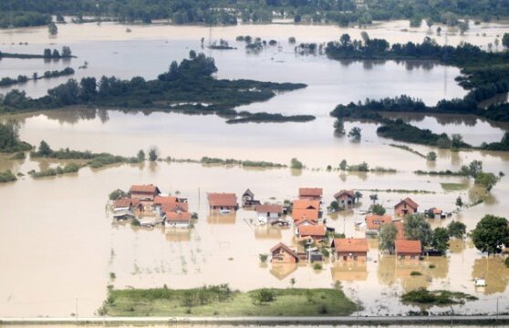 "Cîinii" sînt alături de sinistraţi » Dinamoviştii trimit 3.000 de sticle cu apă la Novaci