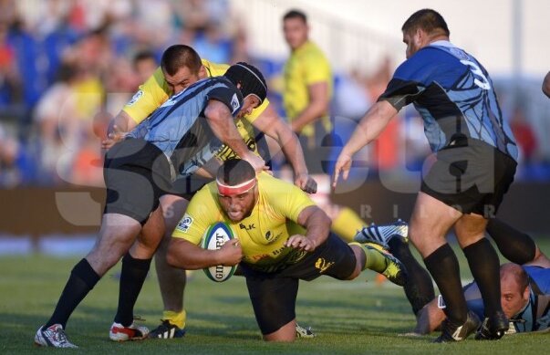 Lupii s-au calificat în grupele European Rugby Challenge Cup