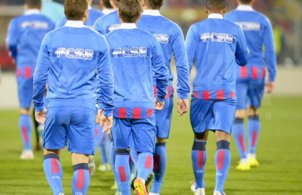 Numele Stelei creează divergenţe între membrii CNA: "Nu există o astfel de decizie"