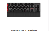 Tastaturi pentru toată lumea la mega-prețuri!