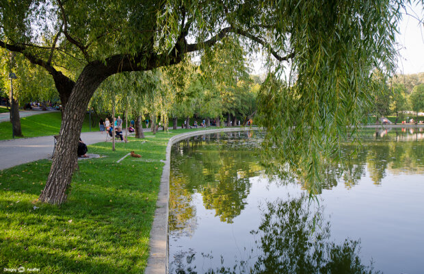  Se deschide Insula Suporterilor în Parcul IOR » Superdistracție și megaconcerte pe parcursul EURO 2016