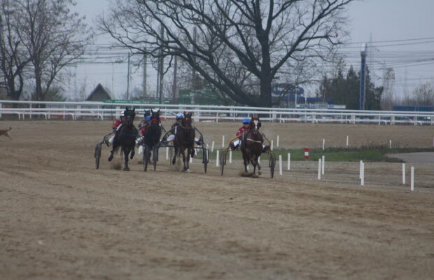 VIDEO+FOTO Imagini de la inaugurarea demonstrativă a hipodromului Ploiești 