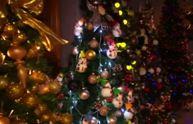 VIDEO » Şi-au decorat casa cu peste 100 de brazi de Crăciun!