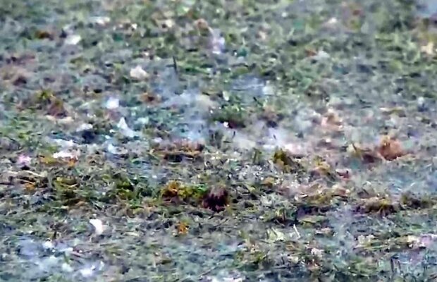 ASA-Pandurii, meci ABANDONAT în minutul 45 » Haz de necazul echipelor din Liga 1: "Dacă dau drumul la încălzire, mai intră 5-6 în insolvență"