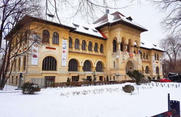 Conducerea de la Geologie închide temporar muzeul și recunoaște raportul. Documentul are o eroare de redactare care a împins și ziarul la comparații exagerate. Pentru ele ne cerem scuze! Concluziile sunt însă neschimbate: radiațiile mult mărite există și au fost ținute secrete