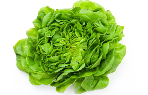 Au vrut să mănânce sănătos, dar ce au găsit în salată îi va face să nu o mai cumpere niciodată