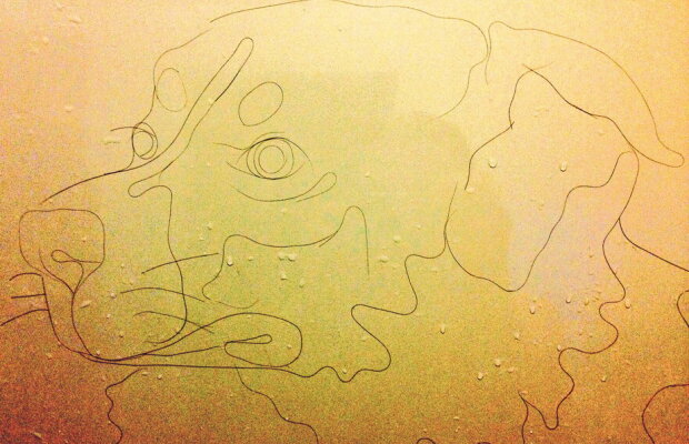 VIDEO O artistă a folosit părul căzut la duș pentru a decora baia