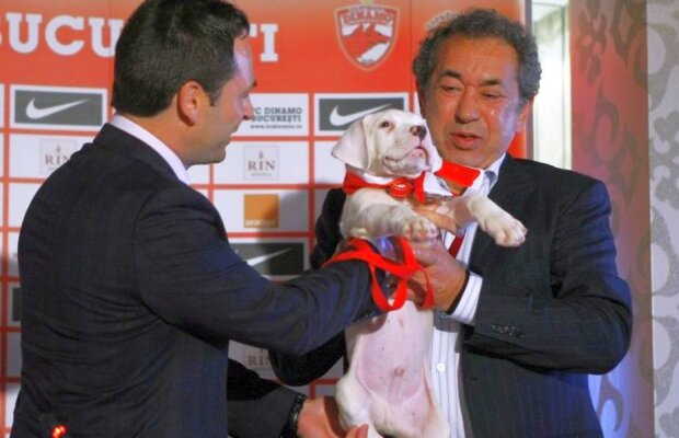 Fanii dinamoviști au primit o veste URIAȘĂ din partea lui Nicolae Badea!