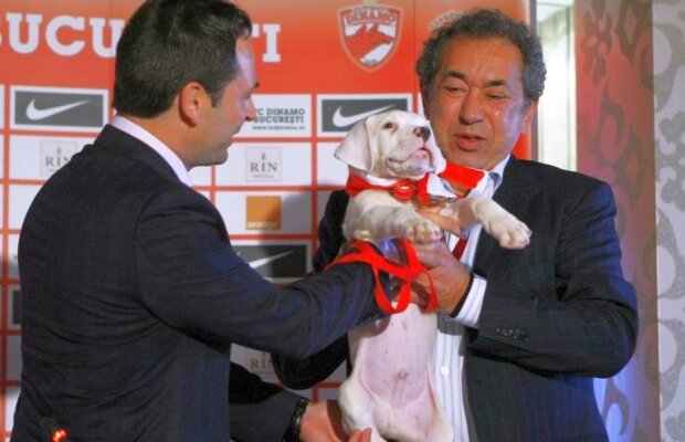 EXCLUSIV 10 ani fără titlu și o degringoladă completă la club » Motivul ascuns al derivei lui Dinamo: sezon cu sezon, cum a dat-o în bară conducerea alb-roșie