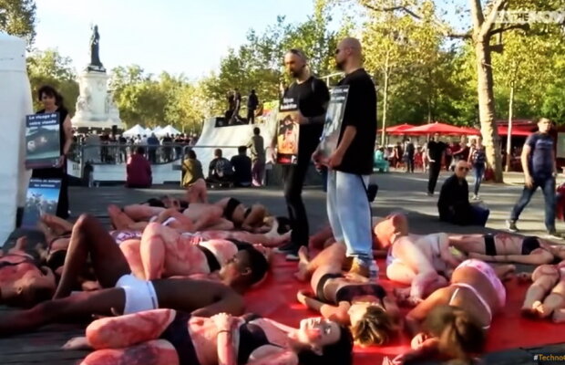 VIDEO Iubitorii de animale s-au supus la chinuri groaznice pentru a stopa cruzimea faţă de ele. Imaginile te vor şoca!