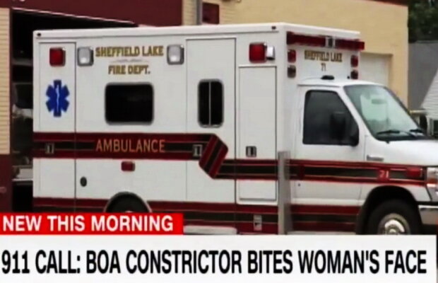 VIDEO O femeie a sunat la numărul de urgență în timp ce era strangulată de un șarpe boa
