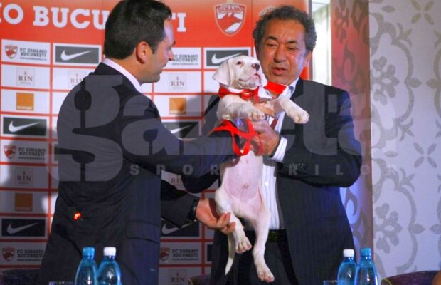 Dinamo al lui Badea atacă dur formația lui Negoiță: "Noi suntem Dinamo, avem sigla și palmaresul"