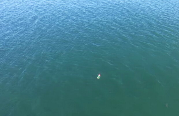 VIDEO A vrut să scape de poliţie şi s-a aruncat în ocean. Ce a urmat este şocant!