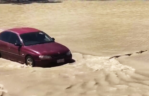 VIDEO Doar în Australia vezi așa ceva. Un șofer a claxonat un crocodil care i-a tăiat calea