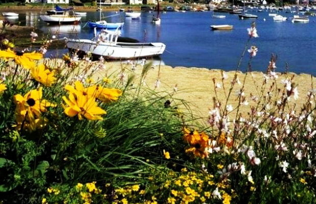 O femeie și-a dat dispărut soțul. Este incredibil unde se afla bărbatul!