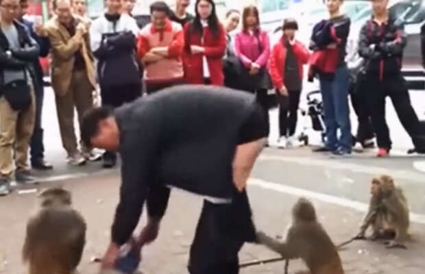 VIDEO Acesta este cel mai funny video al momentului. Este imposibil să nu râzi!