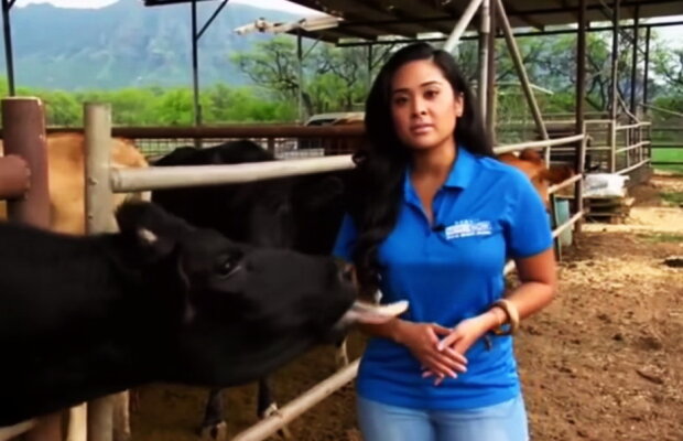 VIDEO Dacă nu ai râs azi, acum o vei face cu siguranță. Acestea sunt cele mai tari momente de la tv!