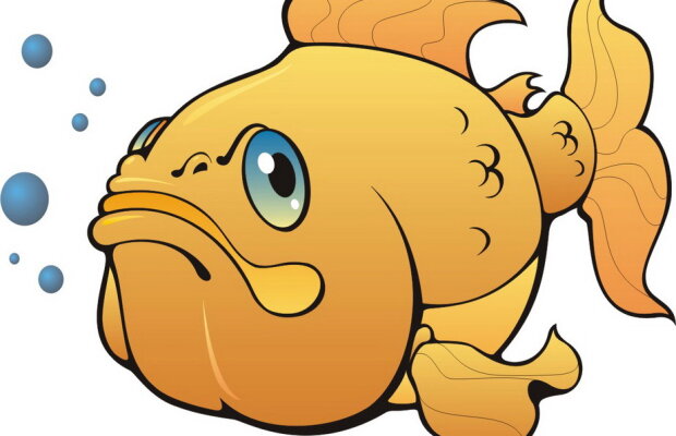 FOTO Acesta este cel mai mare pește pe care l-ai văzut vreodată. E ca un monstru!