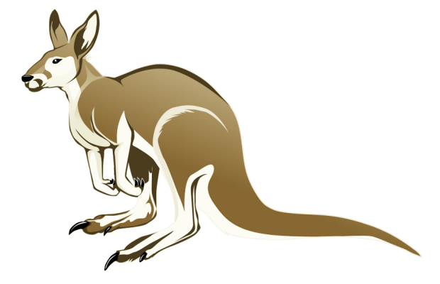 Asta e cea mai tare fotografie pe care ai văzut-o vreodată! Cangurul acesta este bestial!