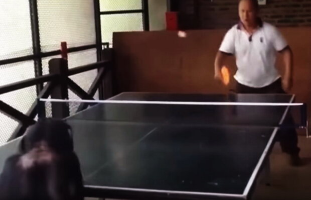 VIDEO Dacă nu ar fi fost filmate, nu ai fi crezut că există asemenea întâmplări!