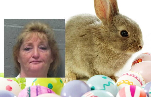 Arestată după ce a mimat o scenă de sex cu o mascotă-iepuraş