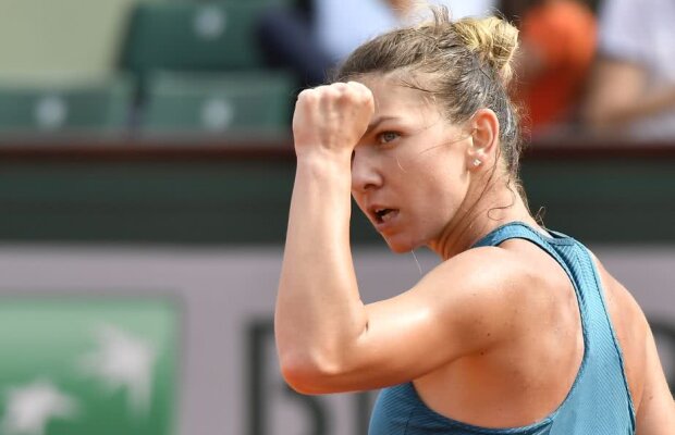 Simona enigmă, Simona descifrată » Portretul complex pe care i-l creionează, în culori și nuanțe subtile, presa internațională