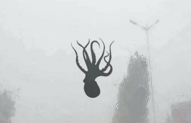 Incredibil! Într-un oraș a plouat cu fructe de mare