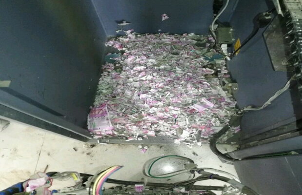 Bancomat atacat de șoareci » Au ros bancnote de peste 18.000 de dolari!