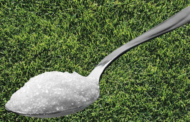 Lasă o lingură cu zahăr în curte. Motivul este unul extraordinar!