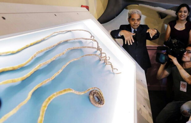 FOTO & VIDEO Și-a tăiat unghiile după 66 de ani. Uite cum putea să arate!