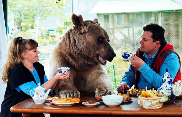 FOTO & VIDEO Au adoptat un urs în urmă cu 23 de ani şi trăiesc cu el în casă
