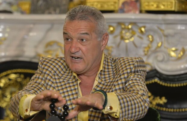 Gigi Becali a terminat evaluarea lui Dică: "Și dacă pun un cal antrenor câștig campionatul" + cum își dă seama când greșește: "Așa lucrează Dumnezeu cu mine, găsesc acasă o oaie moartă"