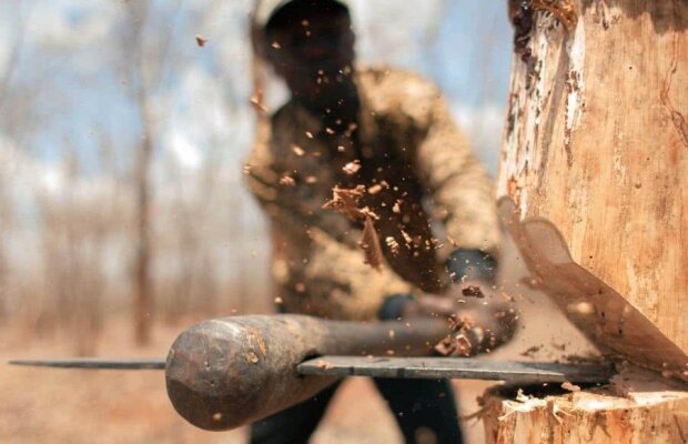 EXCLUSIV » FABULOS De ce l-a pierdut Botoșani pe Roskopf: „N-am știut cum să le traduc celor de la Boca faptul că președintele taie lemne” :)