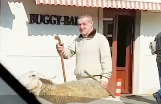 VIDEO Gigi Becali a blocat circulația pe bulevardul Pipera din București » Imagini senzaționale surprinse astăzi