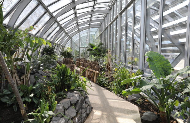 VIDEO ARENA SIMONNE MATHIEU // Bijuteria care o așteaptă pe Simona Halep la Roland Garros » Cum s-a construit de la zero „cea mai frumoasă arenă din lume!”: sculpturi de Auguste Rodin și mii de metri pătrați de verdeață!