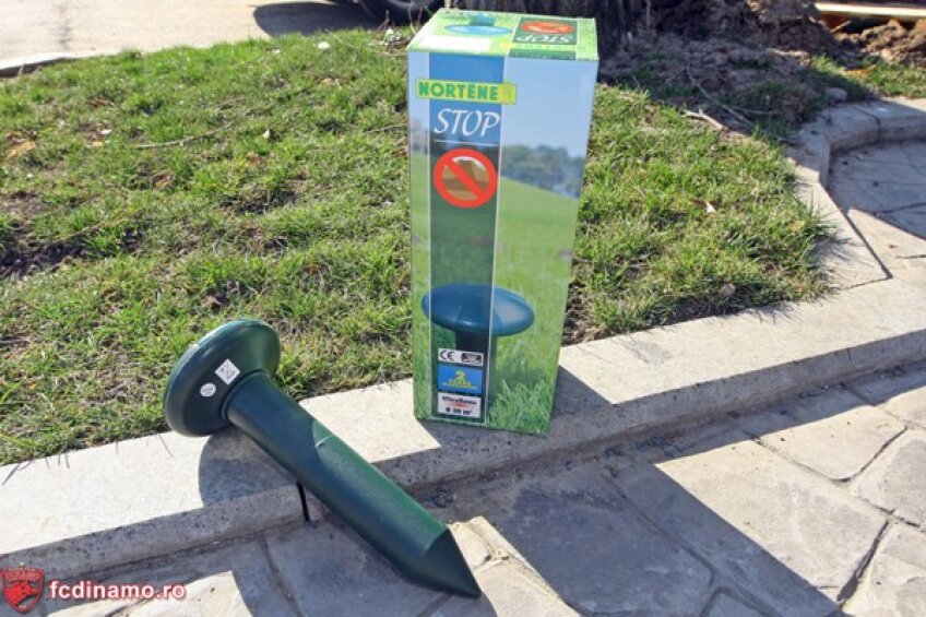 Aceasa este alarma de cartite facuta cadou de dinamovisti rapidistilor