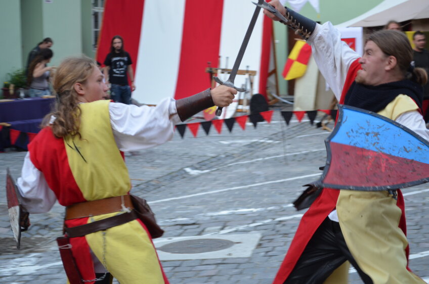 Cavalerii s-au duelat pe tot parcursul festivalului