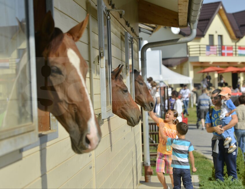 Poate aşa se vede printr-o fereastră spre rai: copii şi cai, în lumina unui sfîrşit de septembrie cald FOTO: Raed Krishan