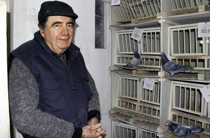 Dinicu este mîndru de cei 110 porumbei pe care îi creşte la etajul vilei sale
