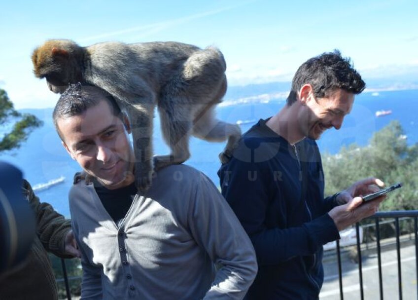 Panin şi Ionuţ Rada s-au împrietenit
repede cu maimuțele Foto: Cristi Preda