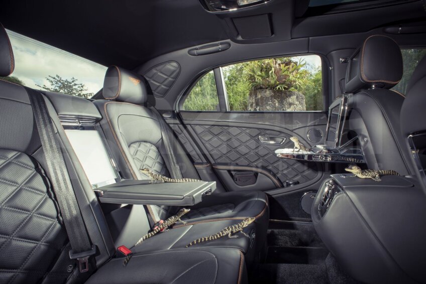 Aligatorii din rezervația Floridei și-au făcut de cap în interiorul luxosului Bentley