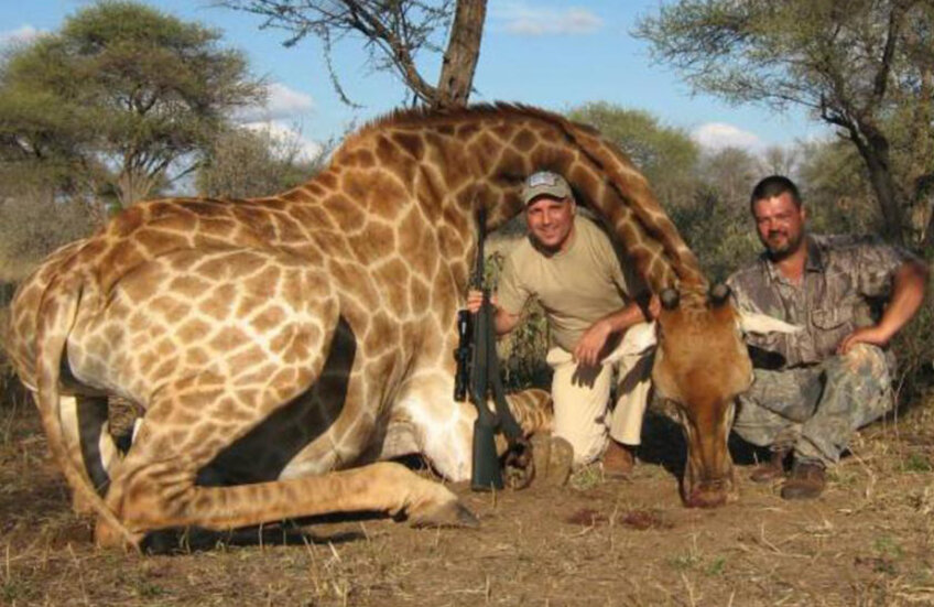 Stoicikov zâmbește lângă girafa doborâtă la safari