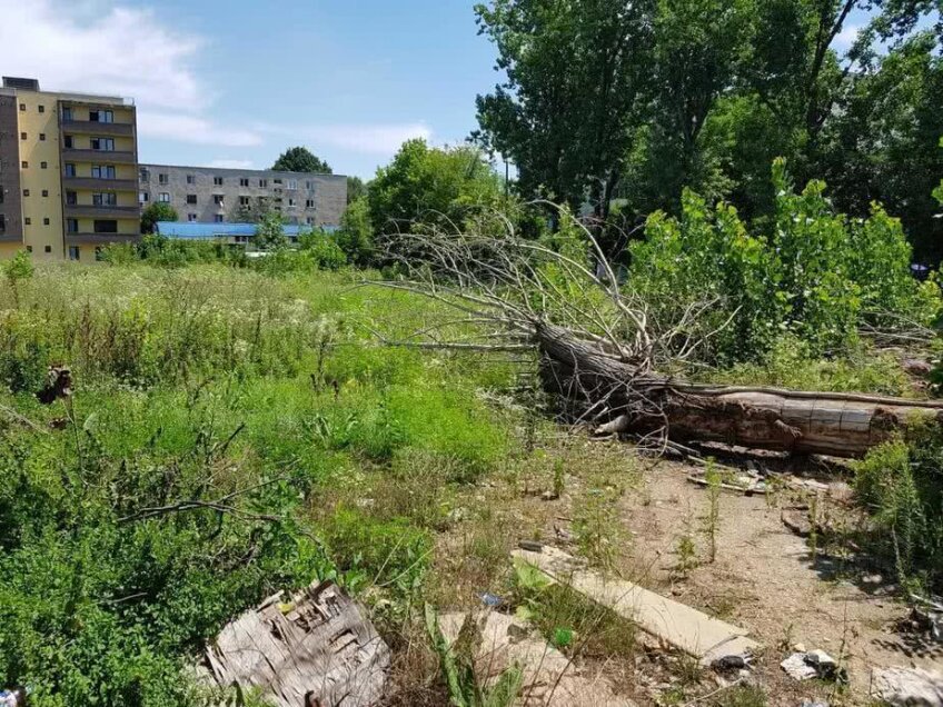 Buruienile au pus stăpânire pe baza sportivă Girueta // Foto: Alin Grigore