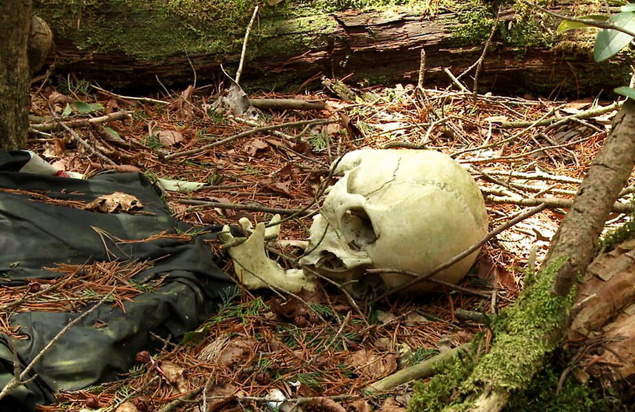 Pădurea Aokigahara (Japonia)